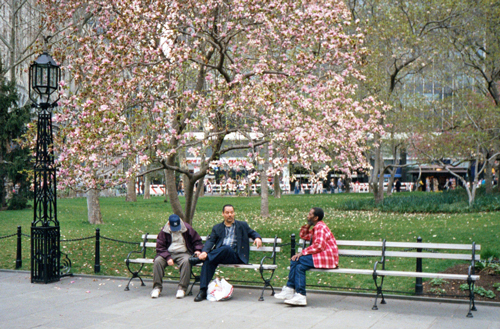 New York City Hall Park in Manhattan, NY